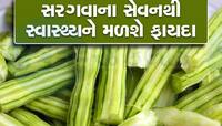 શિયાળામાં સરગવાનું સેવન અમૃત સમાન, આ ગંભીર બીમારીઓ થશે દૂર, જાણો ફાયદા