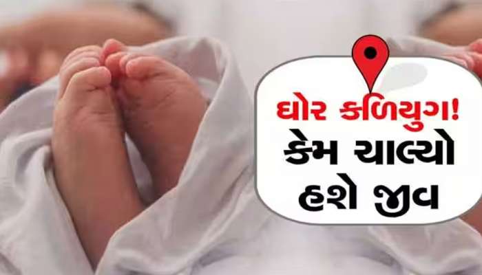 ઓ બાપ રે…કોઈ મહિલાએ પોતાનું પાપ છુપાવવા બાળકીને ફેંકી, કૂતરાના ઝુંડે ચુંથી ખાધી, પછી