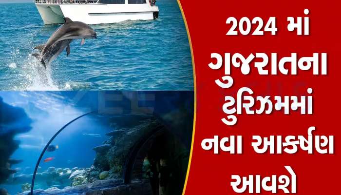 દ્વારકાના દરિયામાં હવે માણી શકાશે ક્રૂઝની મજા, વિદેશની જેમ લોકો પાણીમાં જોઈ શકશે ડોલ્ફીન!