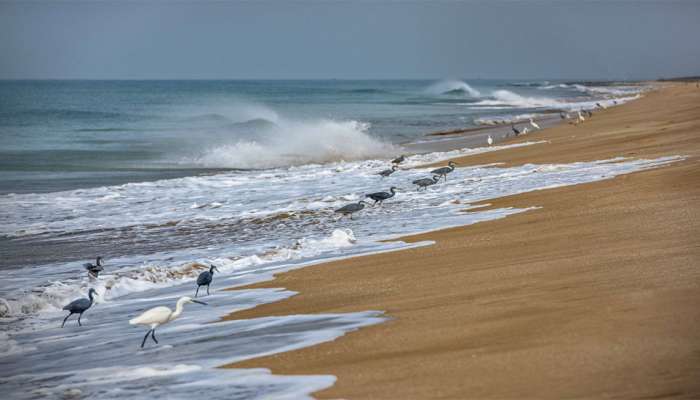 Beach Destinations: આ છે ગુજરાતના સૌથી સાફ બીચ, અહીં ફરવા માટે શિયાળો છે બેસ્ટ ઋતુ, ફટાફટ કરો ફરવાનું પ્લાનિંગ