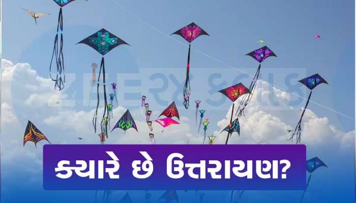 14મી કે 15મી જાન્યુઆરી...ક્યારે ઉજવવામાં આવશે મકર સંક્રાંતિ ? જાણો શુભ સમય અને મહત્વ