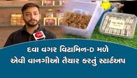 હાડકાં કરશે મજબૂત ગુજ્જુ યુવકનું અનોખું સ્ટાર્ટઅપ, દવા નહી, ખાવી પડશે આ ટેસ્ટી વાનગી