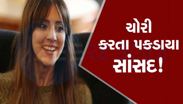Golriz Ghahraman: ન્યૂઝીલેન્ડના સાંસદ પર મોંઘાદાટ કપડાંની દુકાનમાંથી ચોરી કરવાનો આરોપ, રાજીનામું આપ્યું