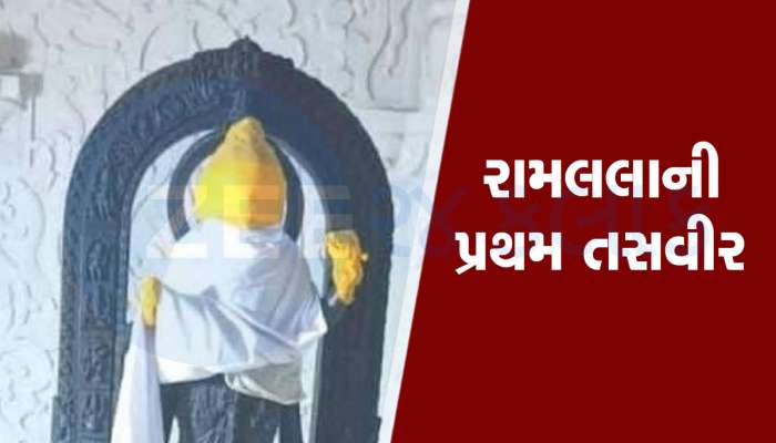 પ્રાણ પ્રતિષ્ઠા પહેલા જોવા મળી રામલલાની ઝલક, જુઓ ગર્ભગૃહમાં બિરાજમાન રઘુનંદનની મનમોહક તસવીરો