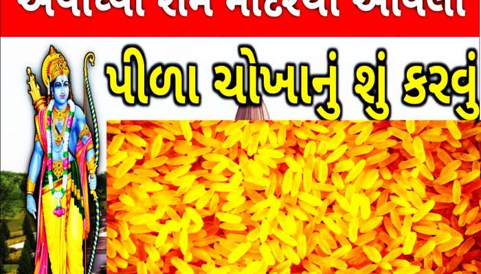 Ram Mandir: અયોધ્યા રામ મંદિરથી લાવેલા પીળા ચોખાનું શું કરવું? જાણી લેશો તો બેડોપાર
