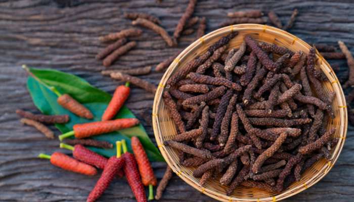 Long pepper: ઔષધીય ગુણોથી ભરપુર હોય છે પીપરી, શરદી-ઉધરસ સહિત આ બીમારી કરે છે દુર