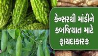 આ 5 શાકભાજીઓ સ્વાસ્થ્ય માટે છે 'અમૃત' તેના સેવનથી દૂર થશે દરેક બિમારી!