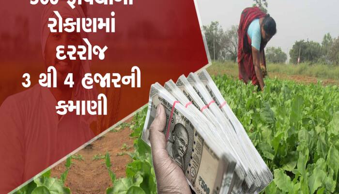 વધી ગયો મહિલાનો મોભો, ખેતીએ બદલી દીધી કિસ્મત, દર મહિને કરી રહી છે લાખોની કમાણી