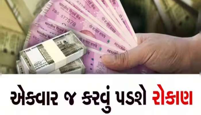ખિસ્સામાંથી 1 રૂપિયો ખર્ચ્યા વિના કરો હજારો ડોલરની કમાણી, સરકાર આપી રહી છે બમ્પર સબસિડી