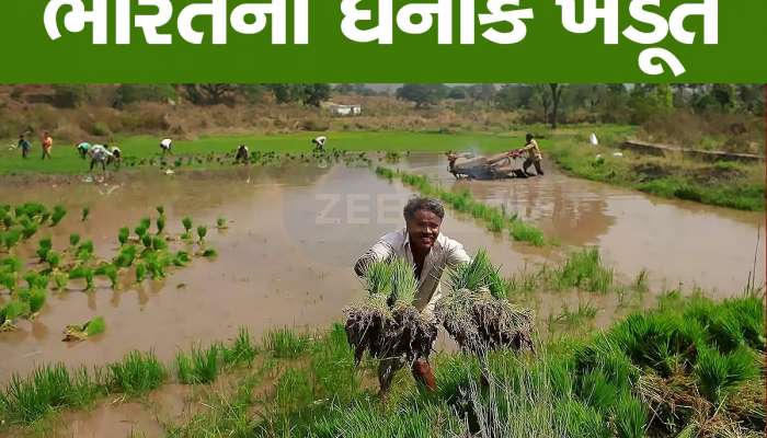 આ છે ભારતના 10  ધનવાન ખેડૂત, કમાણી જાણીને તમે પણ વિચારમાં પડી જશો, એક ગુજરાતી પણ સામેલ