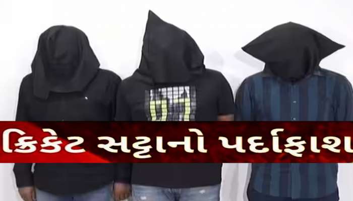 ક્રિકેટ સટ્ટા પર રાજકોટ પોલીસનો સકંજો; આંગડિયા પેઢીની આડમાં ચાલતા મસમોટા રેકેટનો પર્દાફાશ