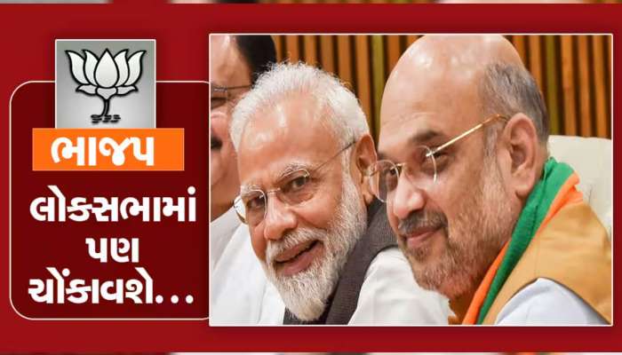  લોકસભામાં કોનાં કપાશે પત્તાં? ભાજપ કરવા જઈ રહ્યું છે ફરી આ પ્રયોગ? જાણો શું છે મેગા પ્લાન?