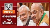 લોકસભામાં કોનાં કપાશે પત્તાં? ભાજપ કરવા જઈ રહ્યું છે ફરી આ પ્રયોગ? શું છે મેગા પ્લાન