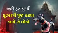 આ મંદિરમાં થાય છે શ્વાનની પૂજા, લોકવાયકા સાંભળીને રૂંવાડા બેઠા થઇ જશે!