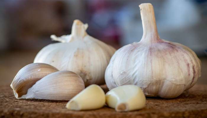 Garlic Benefits: શિયાળામાં રોગપ્રતિકારક શક્તિ વધારવાથી લઈ શરદી, ઉધરસ મટાડવાનું કામ કરે છે લસણ