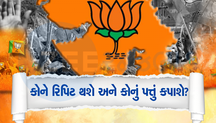 સૌરાષ્ટ્રના આ વર્તમાન સાંસદો પર લટકતી તલવાર, લોકસભામાં ટિકિટ મળી તો ભયો ભયો