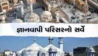 જ્ઞાનવાપી પરિસર માટે ASIનો સર્વે રિપોર્ટ જાહેર; જાણો રિપોર્ટમાં શું શું મળ્યું?