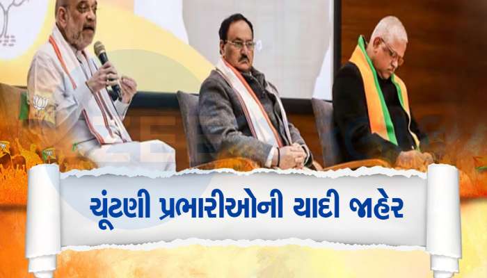 LS ચૂંટણી માટે BJP એ પ્રભારીઓની કરી જાહેરાત, ગુજરાતના આ નેતાઓને મળી મોટી જવાબદારી