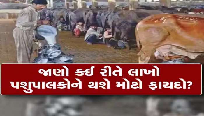 ગુજરાતના પશુપાલકો માટે શ્વેતક્રાંતિ! નવા વર્ષમાં આ ડેરીએ વધાર્યા દૂધના ભાવ, જાણો કેટલો થશે ફાયદો