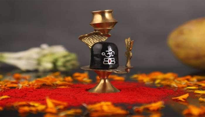 અલગ અલગ પ્રકારના હોય છે શિવલિંગ, જાણો કયા શિવલિંગની પૂજા કરવાથી કેવું ફળ મળે?