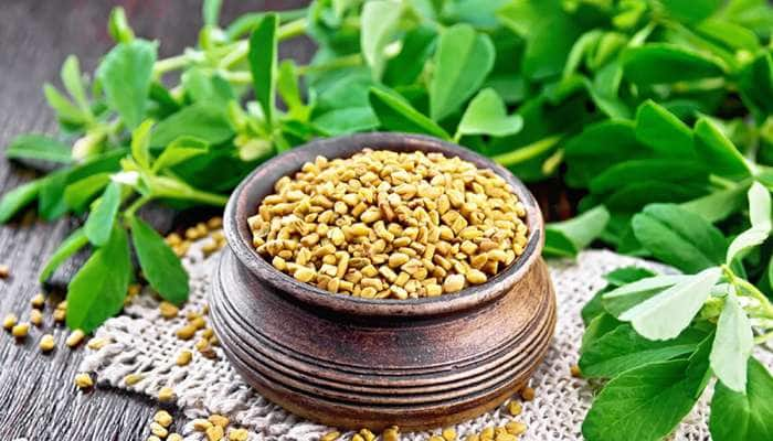 Fenugreek Disadvantages: મેથીના દાણાનું વધુ સેવન કરવાથી શરીરને થઇ શકે છે આ નુકસાન