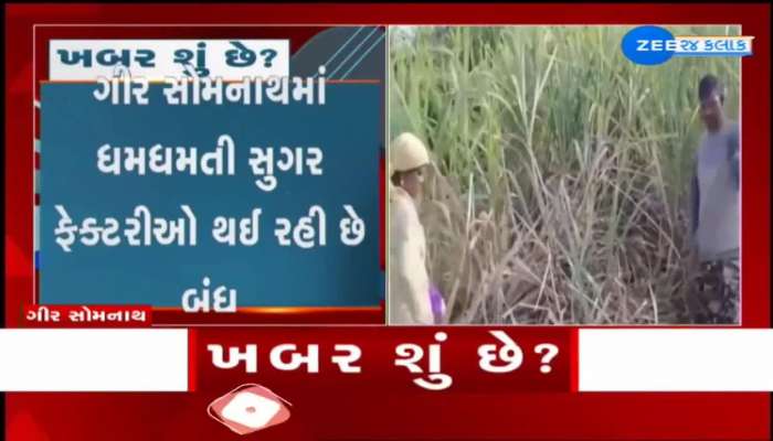 વર્ષોથી ગીર સોમનાથમાં ધમધમતી સુગર ફેક્ટરીઓ એક પછી એક બંધ થવા લાગતા ખેડૂતો મુશ્કેલીમાં....