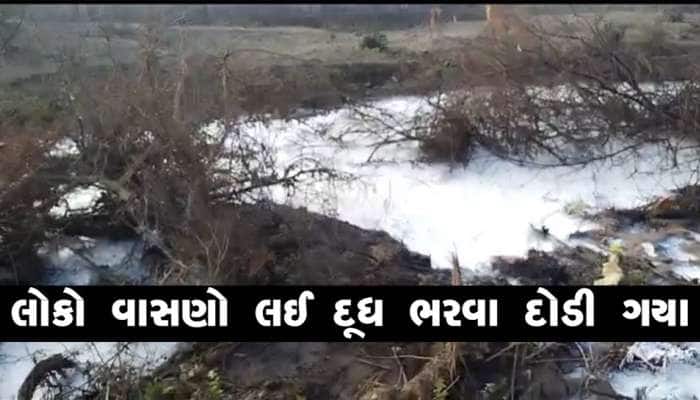 ગુજરાતમાં હાઈ-વે પર દૂધની નદીઓ વહી! મફતનું દૂધ લૂંટવાની લાહ્યમાં માનવતા નેવે મુકાઈ