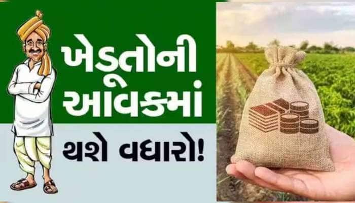 ગુજરાતના ખેડૂતો માટે ટેકાના ભાવ જાહેર; જાણો કપાસ-મગફળી સહિત આ પાકોનો શું છે ભાવ