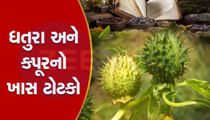 ગુરૂવારે આ ઉપાય કરશો તો દેવી દેવતાઓ થઇ જશે ખુશ, બગડેલી બાજી સુધરી જશે