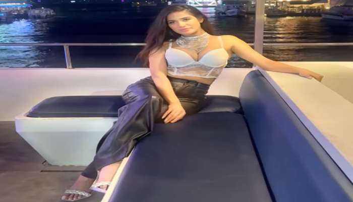 Poonam Pandey: પૂનમ પાંડેએ ઈંસ્ટાગ્રામ પર પોસ્ટ કરેલો આ Video થયો વાયરલ
