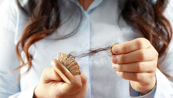 Hair Fall: કાંસકામાં રોજ દેખાય છે વાળના ગુચ્છા ? તો કરો આ 5 કામ, સાત દિવસમાં જ દેખાશે જાદુઈ અસર
