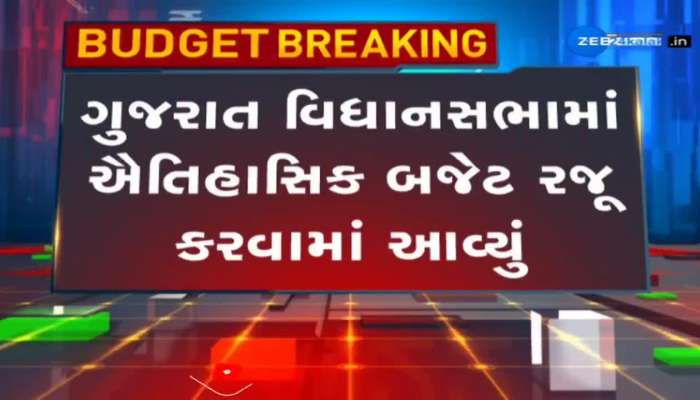 ગુજરાત બજેટ 2024ને નેતાઓની પ્રતિક્રિયા 