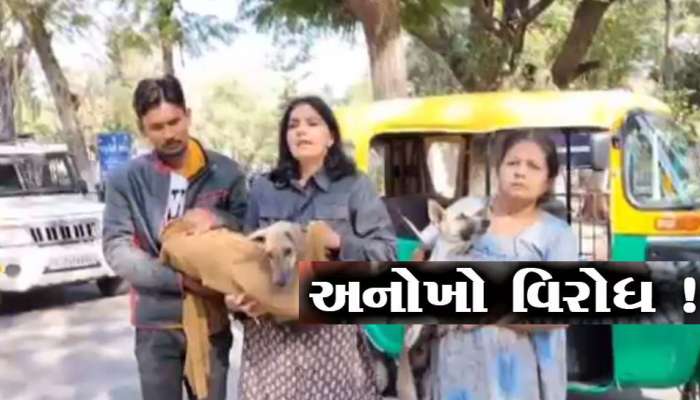 ગુજરાતમાં કોંગ્રેસ કોર્પોરેટરના અનોખા વિરોધથી ભારે કૂતુહલ; શ્વાન સાથે પહોંચ્યા ઓફિસ