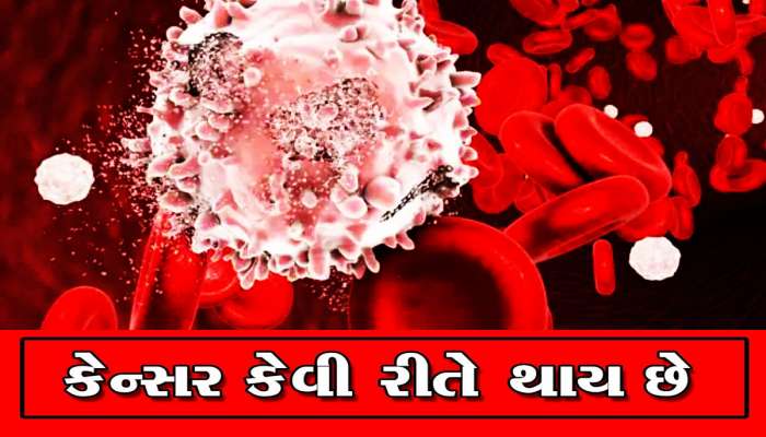WHOનો દાવોઃ 2025 સુધીમાં ફાટશે કેન્સરની બીમારીનો રાફડો, જાણો બચવાના ઉપાય