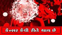 WHOનો દાવોઃ 2025 સુધીમાં ફાટશે કેન્સરની બીમારીનો રાફડો, જાણો બચવાના ઉપાય