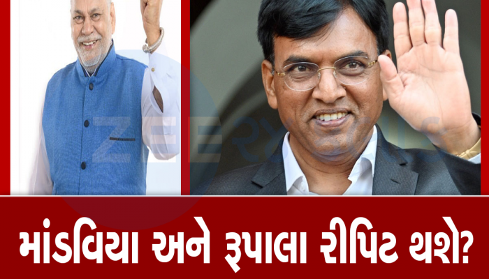 ભાજપ મૂંગીમંતર! 2 કદાવર પાટીદાર નેતાઓનું ભવિષ્ય દાવ પર, પેરાશૂટોને લાગી શકે છે લોટરી