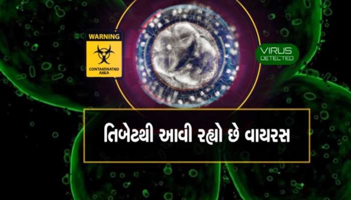 વધુ એક બીમારીનો ખતરો! તિબેટમાં ગ્લેશિયરમાંથી કોરોનાથી પણ ખતરનાક વાયરસ મળ્યા