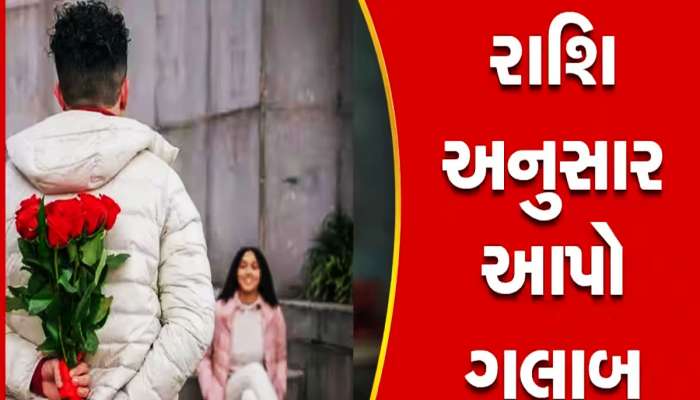 Rose Day: જેવી રાશિ એવા રંગનું આપો ગુલાબ, હંમેશા મળશે પ્રેમ લાજવાબ