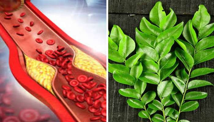 Bad Cholesterol: આ 5 લીલા પાન છે બેડ કોલેસ્ટ્રોલનો કાળ, 1 મહિનામાં નસેનસમાંથી દુર કરી દેશે કોલેસ્ટ્રોલ