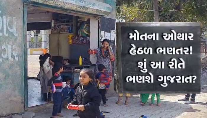 આવી રીતે ભણશે ગુજરાત? સુવિધાના અભાવે ગુજરાતમાં નાના ભૂલકાઓ દુકાનમાં કરે છે અભ્યાસ!