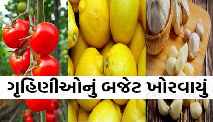 ભરશિયાળે લીબુની ખટાસ થઈ મોંઘી! ટામેટાના ભાવ થયા લાલચોળ, લસણનો તડકો પડી રહ્યો છે ભારે