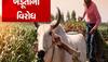 Farmers Protest : સરકાર સામે આરપારની લડાઈમાં ગુજરાતમાં ખેડૂતો પણ જોડાશે, રાજ્યમાં કરશે રસ્તા રોકો આંદોલન