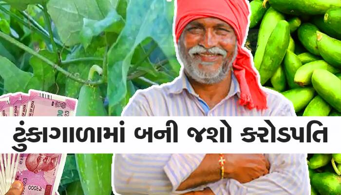 Agriculture Idea: આ છે લાખોનો નફો કરાવનાર ખેતી, એક વાર વાવો અને વર્ષો સુધી કરો કમાણી