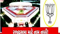 રાજ્યસભાના ઉમેદવારો નક્કી કરવા દિલ્લીમાં દોડ પકડ! કોણ બનશે ભાજપનું 'વેલેન્ટાઈન'?