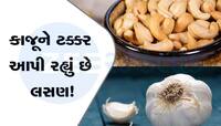 લસણ 400 રૂપિયે કિલો: ચોરીની બીકે ખેડૂતે ખેતરમાં લગાવ્યા કેમેરા, ખેડૂતો બન્યા કરોડપતિ