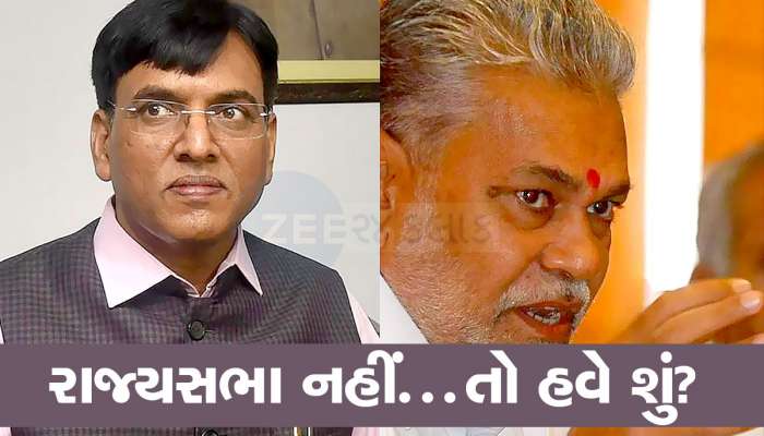 રાજ્યસભાના ઉમેદવારોની યાદીમાંથી રૂપાલા, માંડવિયા આઉટ, શું લોકસભા ચૂંટણી લડાવશે ભાજપ?
