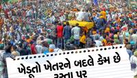 Farmers Agitation: C2+50% ફોર્મ્યુલા શુ છે જેનો ખેડૂતો કરાવવા માગે છે અમલ? અહીં સમજો