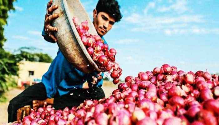 ગુજરાતના ખેડૂતોને ઘી-કેળા! વર્ષની શરૂઆતમાં જ ભારત સરકારે લીધો મોટો નિર્ણય