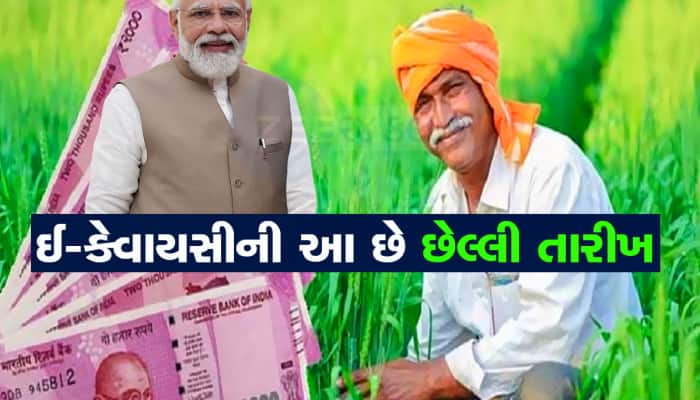 ગુજરાતના ખેડૂતોએ 2 દિવસમાં પુરૂ કરવું પડશે આ કામ, નહીંતર થશે 2000 રૂપિયાનું નુકસાન