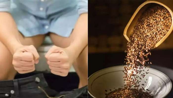 Flax Seeds Benefits: ભયંકર કબજિયાતથી પણ મુક્તિ અપાવી શકે છે અળસી, આ રીતે ખાવાથી તુરંત કરે છે અસર
